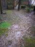 Backyard After Heavy Rains Before Landscaping